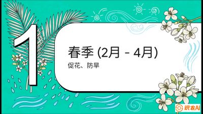 第10节：周年农事日历&mdash;&mdash;&ldquo;跟着节气走，丰产在手头&rdquo;《槟榔种植：从不懂到精通的10堂必修课》