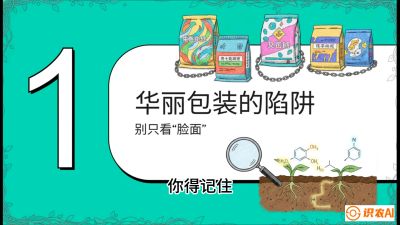 第4节：【黄金配方】底肥里的&ldquo;铁三角&rdquo;与&ldquo;微量雷区&rdquo;课程：《柑橘底肥&ldquo;翻身账&rdquo;：从改土到高产的实战全书》