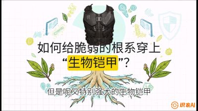 第三节：国产榴莲突围战：根系堡垒，菌根微生态构建与黄金定植窗口，课程：《国产榴莲突围战：从泰国经验到中国实操的8堂必修课（高阶实战版）》