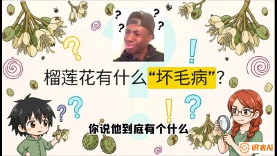 第六节：榴莲的午夜战事，夜间授粉战与花果期避雨策略，课程：《国产榴莲突围战：从泰国经验到中国实操的8堂必修课（高阶实战版）》