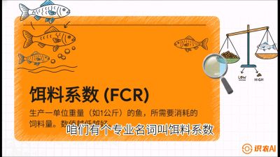 第五节：【高端单品&middot;鳜鱼】&ldquo;饲料鳜&rdquo;技术：打破吃活饵的高成本魔咒，课程：《黄金鳞甲：2025中国淡水鱼高效养殖实战营》