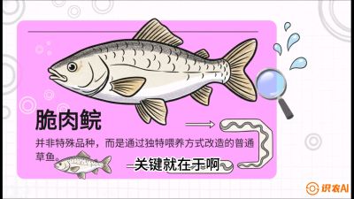 第六节：【老品升级&middot;脆肉鲩】如何让草鱼身价翻倍？，课程：《黄金鳞甲：2025中国淡水鱼高效养殖实战营》