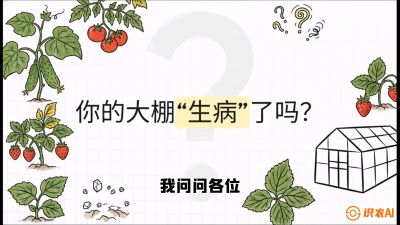 第2节（解毒篇）： 大棚里的&ldquo;红白绿&rdquo;警报&mdash;&mdash;读懂土壤盐渍化的求救信号，课程：《揭秘土壤的秘密：让土地帮你赚钱》#识农AI