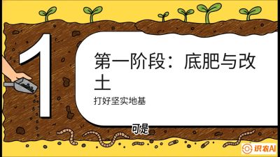 第6节（统筹篇）： 省钱又增产的&ldquo;黄金配比&rdquo;&mdash;&mdash;不同作物全年的养土实操方案，课程：《揭秘土壤的秘密：让土地帮你赚钱》#识农AI