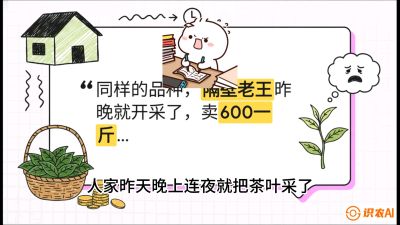 第01节（抢早篇）：与老天爷抢饭吃：如何利用&ldquo;温差阈值&rdquo;让头采茶提前5天上市？，课程：《茶金时代：从&ldquo;看天吃饭&rdquo;到&ldquo;精准控局&rdquo;的茶叶高产提质实战课》