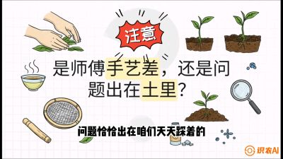 第02节（土肥篇）：告别&ldquo;苦涩水味&rdquo;：揭秘&ldquo;碳氮比&rdquo;调控术，种出自带兰花香的好茶底，课程：《茶金时代：从&ldquo;看天吃饭&rdquo;到&ldquo;精准控局&rdquo;的茶叶高产提质实战课》