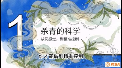 第05节（加工篇）：决胜2分钟：用&ldquo;数字温控&rdquo;破解杀青不匀，复刻大师级手工口感，课程：《茶金时代：从&ldquo;看天吃饭&rdquo;到&ldquo;精准控局&rdquo;的茶叶高产提质实战课》