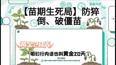 第2节：【苗期生死局】防猝倒、破僵苗，决定后期产量的&ldquo;黄金20天&rdquo;，课程：《辣椒种植实战特训营，从工业辣椒到精品小米辣，教你如何把&ldquo;草&rdquo;种成&ldquo;金&rdquo;》