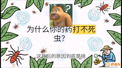 第4节：【虫害歼灭战】打不死的蓟马、隐形的茶黄螨：抗性时代的&ldquo;混配绝杀&rdquo;，课程：《辣椒种植实战特训营，从工业辣椒到精品小米辣，教你如何把&ldquo;草&rdquo;种成&ldquo;金&rdquo;》