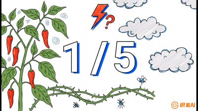 第6节：【花果爆发术】落花落果的五大元凶，与&ldquo;三喷一保&rdquo;坐果黑科技，课程：《辣椒种植实战特训营，从工业辣椒到精品小米辣，教你如何把&ldquo;草&rdquo;种成&ldquo;金&rdquo;》