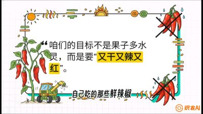 第7节：【工业辣椒专场】追求极致辣度！干物质提升与机械化采收的&ldquo;催红秘籍&rdquo;，课程：《辣椒种植实战特训营，从工业辣椒到精品小米辣，教你如何把&ldquo;草&rdquo;种成&ldquo;金&rdquo;》