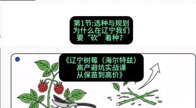 第一节： 选种与规划&mdash;&mdash;为什么在辽宁我们要&ldquo;砍&rdquo;着种？，课程：《辽宁树莓（海尔特兹）高产避坑实战课：从保苗到高价》