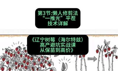 第三节： 懒人修剪法&mdash;&mdash;&ldquo;一推光&rdquo;平茬技术详解，课程：《辽宁树莓（海尔特兹）高产避坑实战课：从保苗到高价》