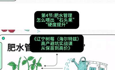 第四节： 肥水管理&mdash;&mdash;怎么喂出&ldquo;石头果&rdquo;（硬度提升），课程：《辽宁树莓（海尔特兹）高产避坑实战课：从保苗到高价》