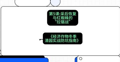 第5节：【柑橘清园】采后恢复与红蜘蛛的&ldquo;拉锯战&rdquo;，课程：《经济作物冬季清园&middot;实战防坑指南》#识农AI