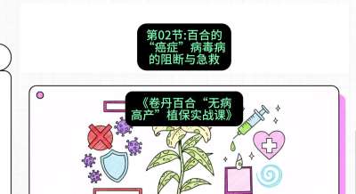 第02节：百合的&ldquo;癌症&rdquo;&mdash;&mdash;病毒病的阻断与急救，课程：《卷丹百合&ldquo;无病高产&rdquo;植保实战课》#识农AI