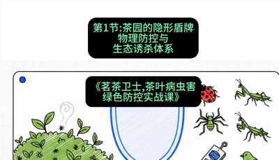 第01节：茶园的&ldquo;隐形盾牌&rdquo;&mdash;&mdash;物理防控与生态诱杀体系，课程：《茗茶卫士&mdash;&mdash;茶叶病虫害绿色防控实战课》#识农AI