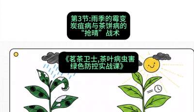 第03节：雨季的霉变&mdash;&mdash;炭疽病与茶饼病的&ldquo;抢晴&rdquo;战术，课程：《茗茶卫士&mdash;&mdash;茶叶病虫害绿色防控实战课》#识农AI