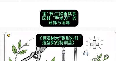 第01节：工欲善其事&mdash;&mdash;园林&ldquo;手术刀&rdquo;的选择与消毒，课程：《景观树木&ldquo;整形外科&rdquo;造型实战特训营》#识农AI