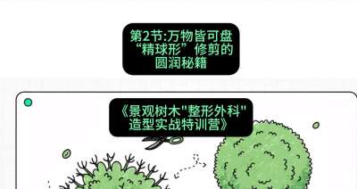 第02节：万物皆可盘&mdash;&mdash;&ldquo;精球形&rdquo;修剪的圆润秘籍，课程：《景观树木&ldquo;整形外科&rdquo;造型实战特训营》#识农AI