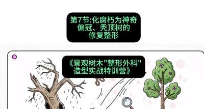 第07节：化腐朽为神奇&mdash;&mdash;偏冠、秃顶树的修复整形，课程：《景观树木&ldquo;整形外科&rdquo;造型实战特训营》#识农AI