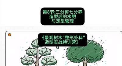 第08节：三分剪七分养&mdash;&mdash;造型后的水肥与定型管理，课程：《景观树木&ldquo;整形外科&rdquo;造型实战特训营》#识农AI
