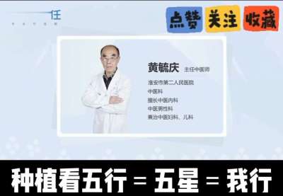 中药材淫羊藿怎么种？听专家一次讲明白！不挑地块好管理，耐寒耐旱省心省力，新手也能轻松上手，药用价值高、市场需求稳，妥妥的增收好品种～ 从生长习性到采收要点，干货满满无废话，种植疑问直接问，一对一答疑解
