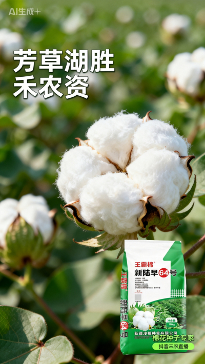 新疆棉花澳棉种业王霸棉，还有其它都好