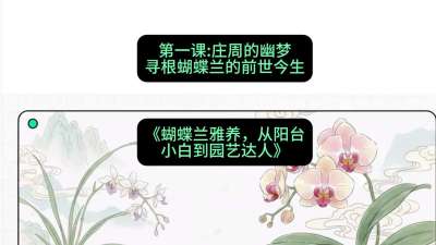 第一节：庄周的幽梦：寻根蝴蝶兰的前世今生，课程：《蝴蝶兰雅养六讲：从阳台小白到园艺达人》#识农AI