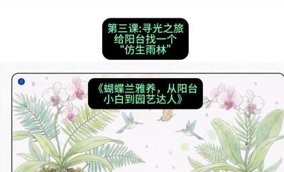 第三节：寻光之旅：给阳台找一个&ldquo;仿生雨林&rdquo;，课程：《蝴蝶兰雅养六讲：从阳台小白到园艺达人》#识农AI