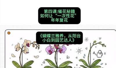 第四节：催花秘籍：如何让&ldquo;一次性花&rdquo;年年复花，课程：《蝴蝶兰雅养六讲：从阳台小白到园艺达人》#识农AI