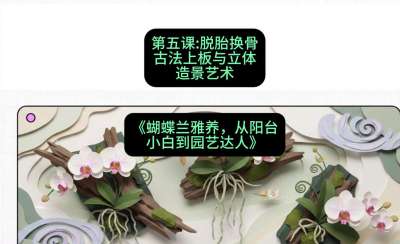 第五节：脱胎换骨：古法上板与立体造景艺术，课程：《蝴蝶兰雅养六讲：从阳台小白到园艺达人》#识农AI