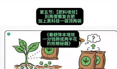 第五节：【肥料增效】别再傻撒复合肥，加上&ldquo;黑科技&rdquo;一袋顶两袋