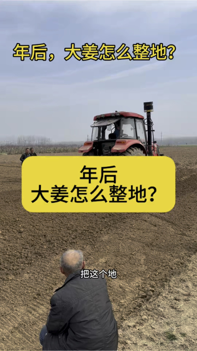 年后，大姜怎么整地？