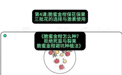 第4节：脆蜜金柑保花保果：三批花的选择与激素使用，课程：《脆蜜金柑怎么种？拒绝死苗与裂果，脆蜜金柑8步避坑种植法》#识农AI