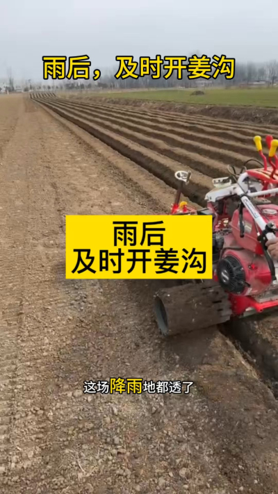 雨后，及时开姜沟！