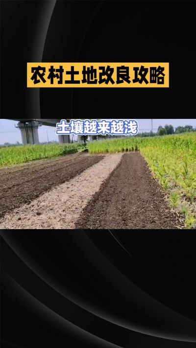1. 先搞懂：你到底要改良哪块地、种什么
 
- 土土土在哪里？
就是你自家农田、菜地、果园，哪块地想种庄稼，就测哪块地的土。
​
- 有水没有水？
有水能浇：改良更省事，施肥、调酸碱都好操作。
没水