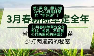 第1节：窗口期认知，为什么3月是除草的&ldquo;生死线&rdquo;？，课程：《3月春耕除草定全年：省钱、省药、不烧苗、少打两遍药的秘密》