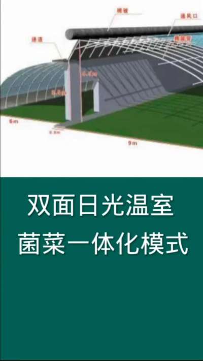 双面日光温室菌菜一体化模式，为现代农业利用设施的一种高效种植模式。食用菌排出二氧化碳为蔬菜生长所需提供气体，蔬菜排出氧气正好为食用菌提供生长所需的氧气，彼此促进生长，是现代农业发展的一种有效途径。
