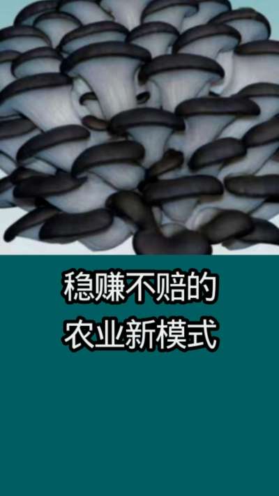 稳赚不赔的农业新模式