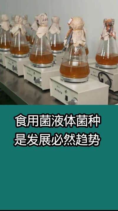 食用菌液体菌种是发展必然趋势