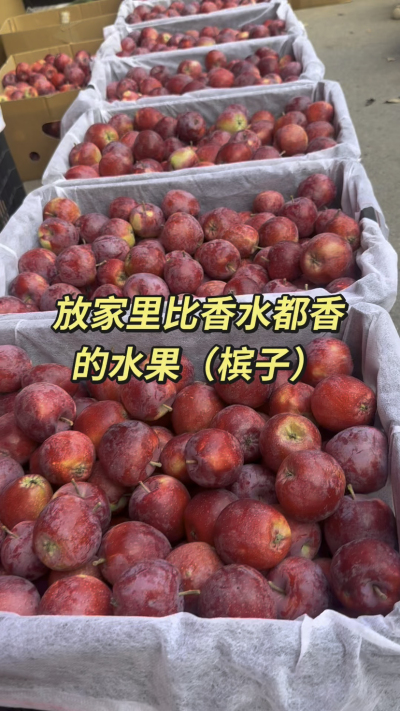 槟果子，比香水都香的水果